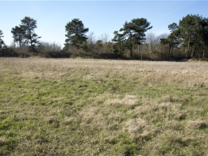 Kærbakken 23, Hårdmark
