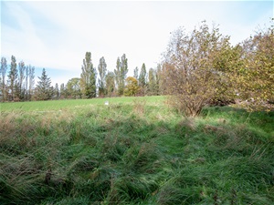 Bøgevej 6A, Torup
