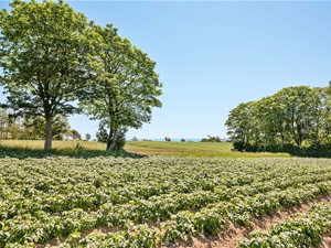 Høneballevej 24, 3.