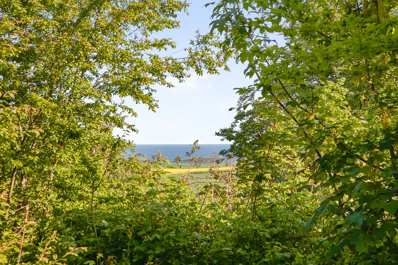 image 02
